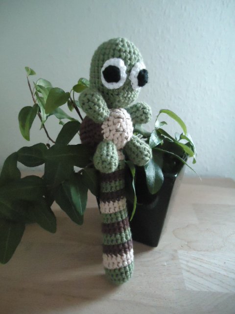Skildpadde rangle