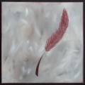 Akrylamleri