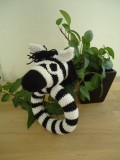 Rangle zebra