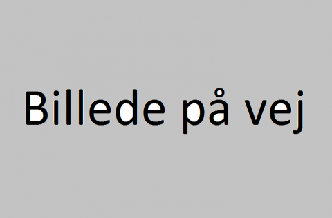 vippestol