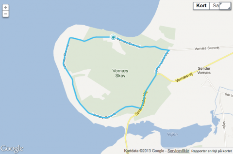 Rute