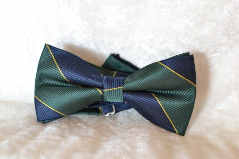 Grn og bl stribet butterfly