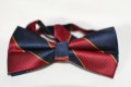 Rd og bl stribet butterfly