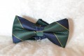 Grn og bl stribet butterfly