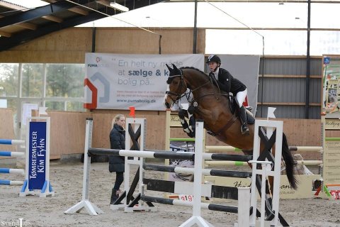 Bijkou Højgård Esbjerg 2014