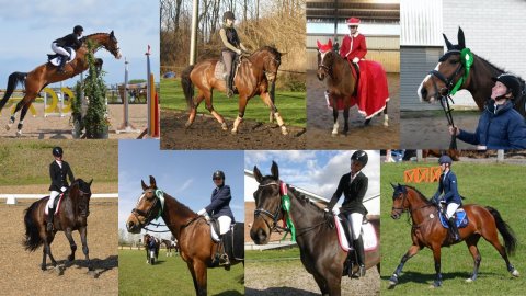 Bijou, Cantinus, Fanak og Virtus
