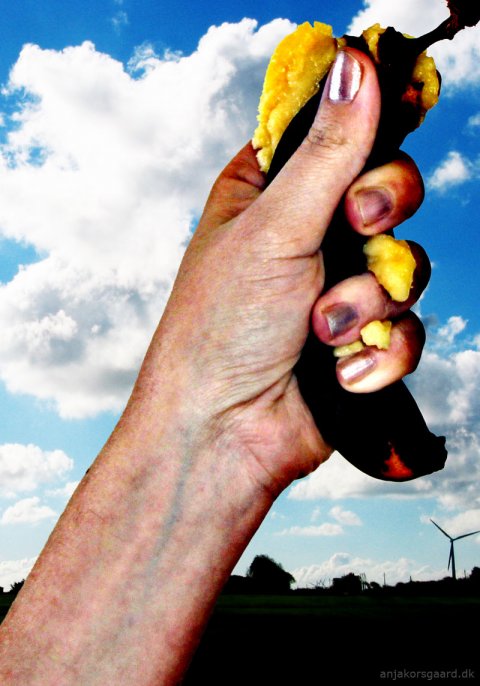 Død over den rådne banan - udkantsdanmark - Anja Korsgaard - fotokunst