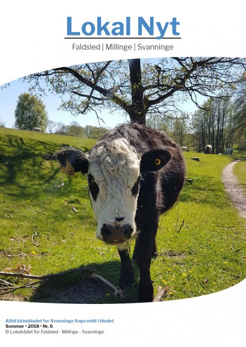 LokalNyt 6 2018 forside